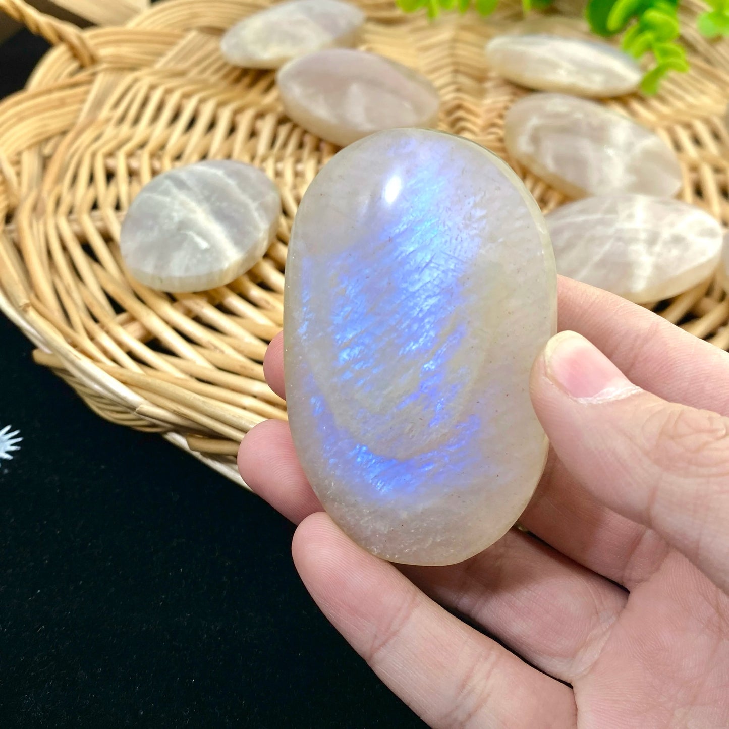 Natural Moonstone Polished Palm Stone — Intuition & New Beginnings Crystal
