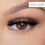 Magnetic Eye Lash